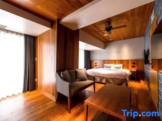 Standard Double room with city view (full double bed)