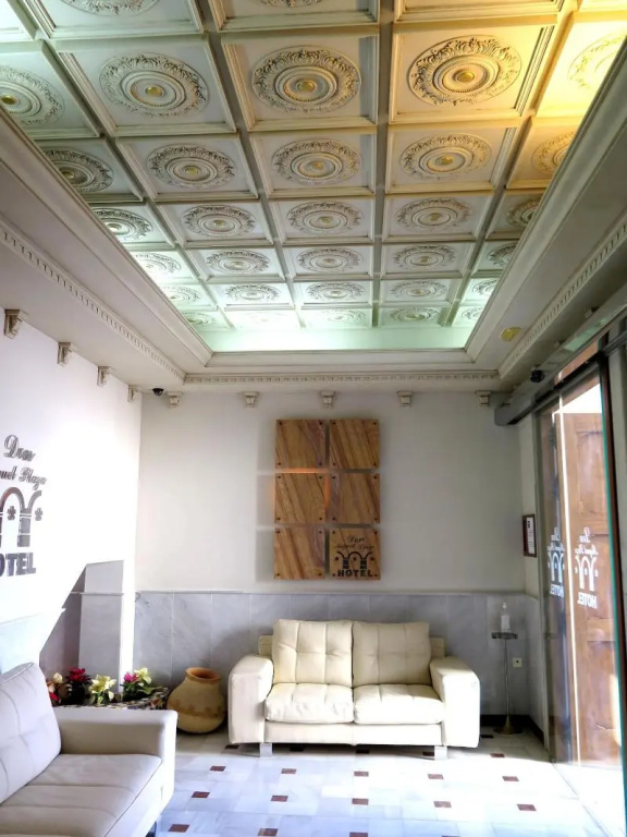 Hotel Don Miguel Plaza - Général