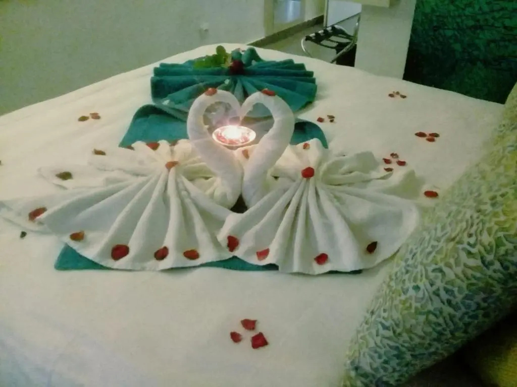 Double room with garden view (full double bed)