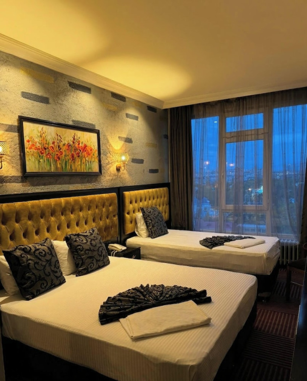 Standard Double Family room with city view (twin beds)
