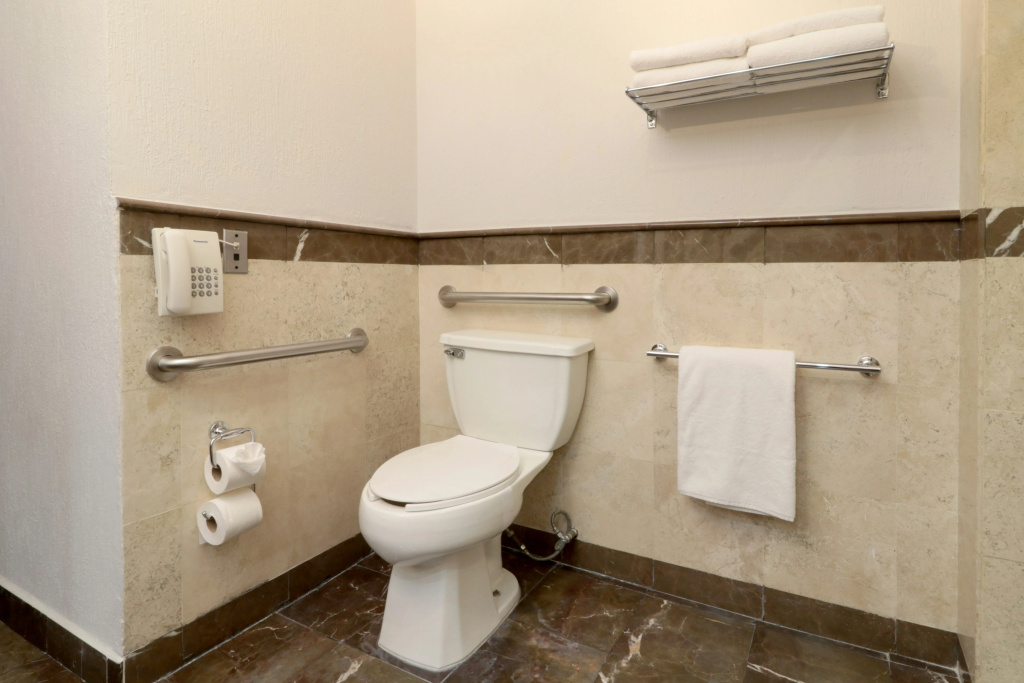 Holiday Inn Express San Luis Potosi by IHG - Général
