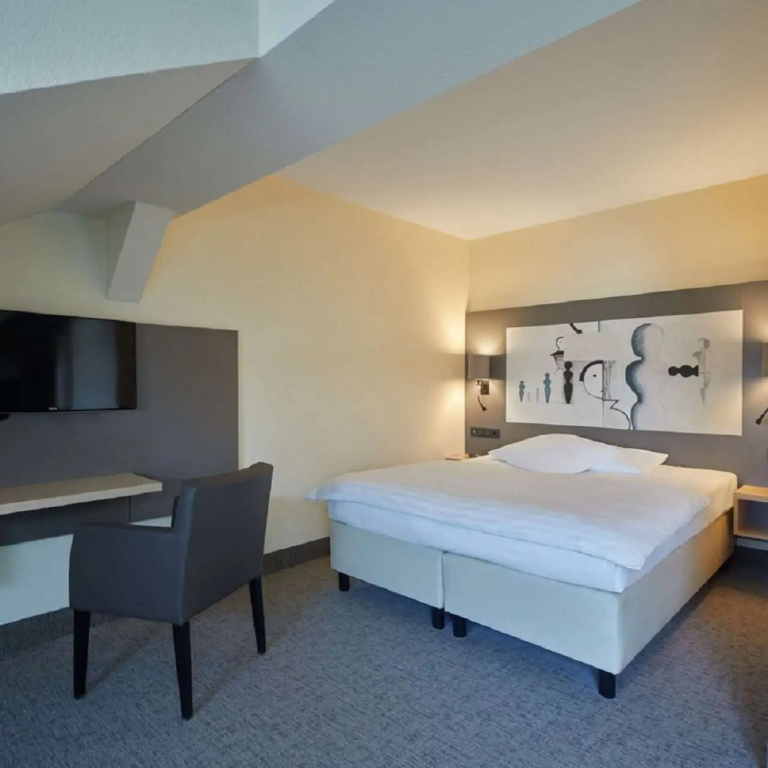 Comfort Double room (full double bed)