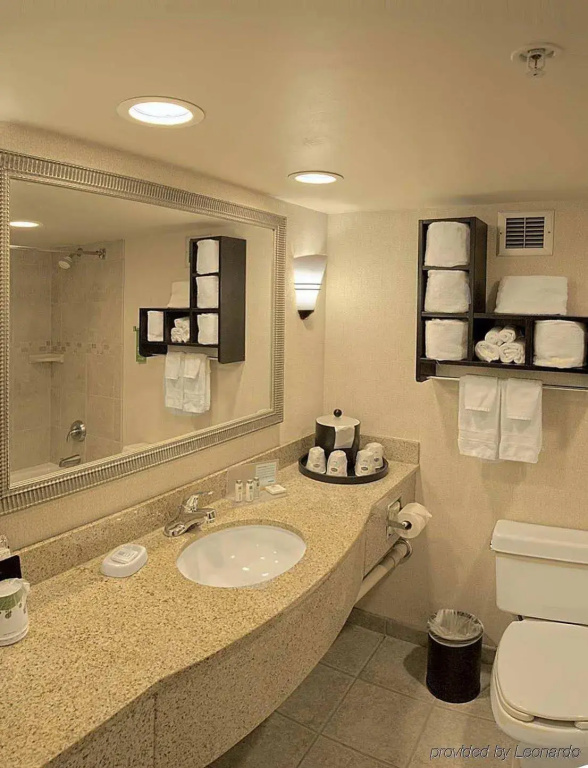 Hampton Inn Asheville I-26 Biltmore Area - Général