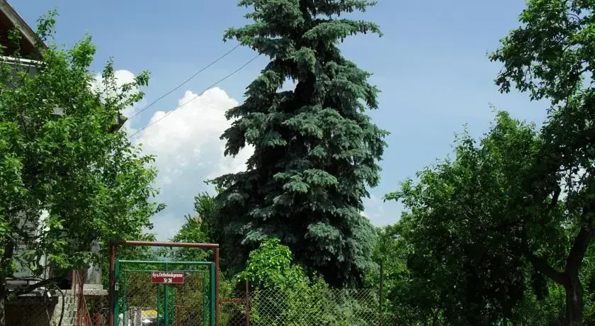 Guest House Nadejda