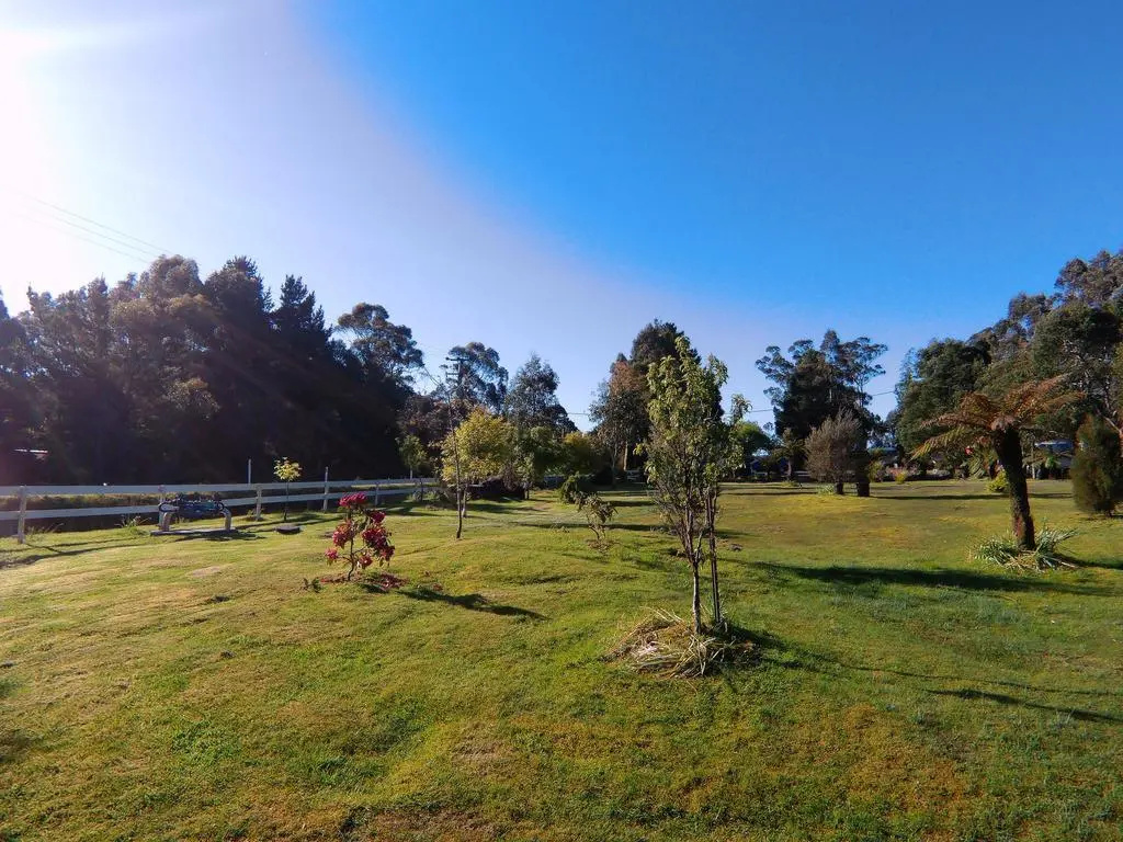 Zeehan Bush Camp