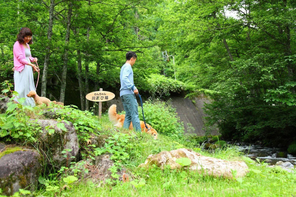 Wan Wan Paradise Takayama - Général