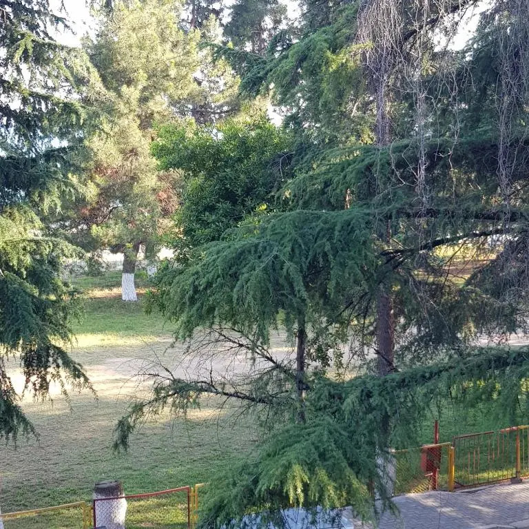 Ldzaa 1komn. kv. na beregu morja