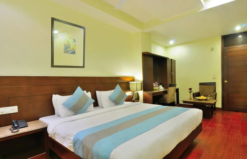Hotel The Raj, New Delhi - Général