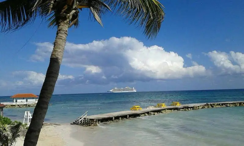 Image 6