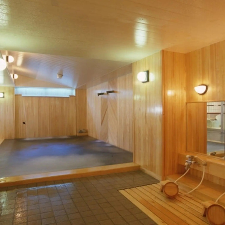 Ikaho Onsen Sanyo Hotel - Général