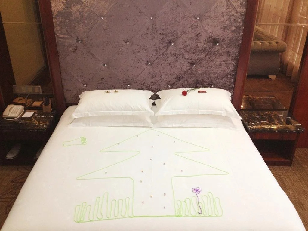 Yongzhou Binhu Hotel - Général