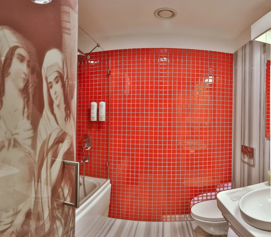 Отель Senatus Hotel - Special Class в Стамбуле