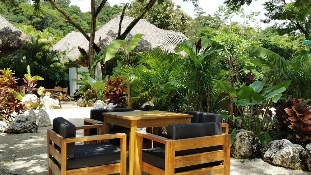 Bamboo Surf House - Hostel - фото 13