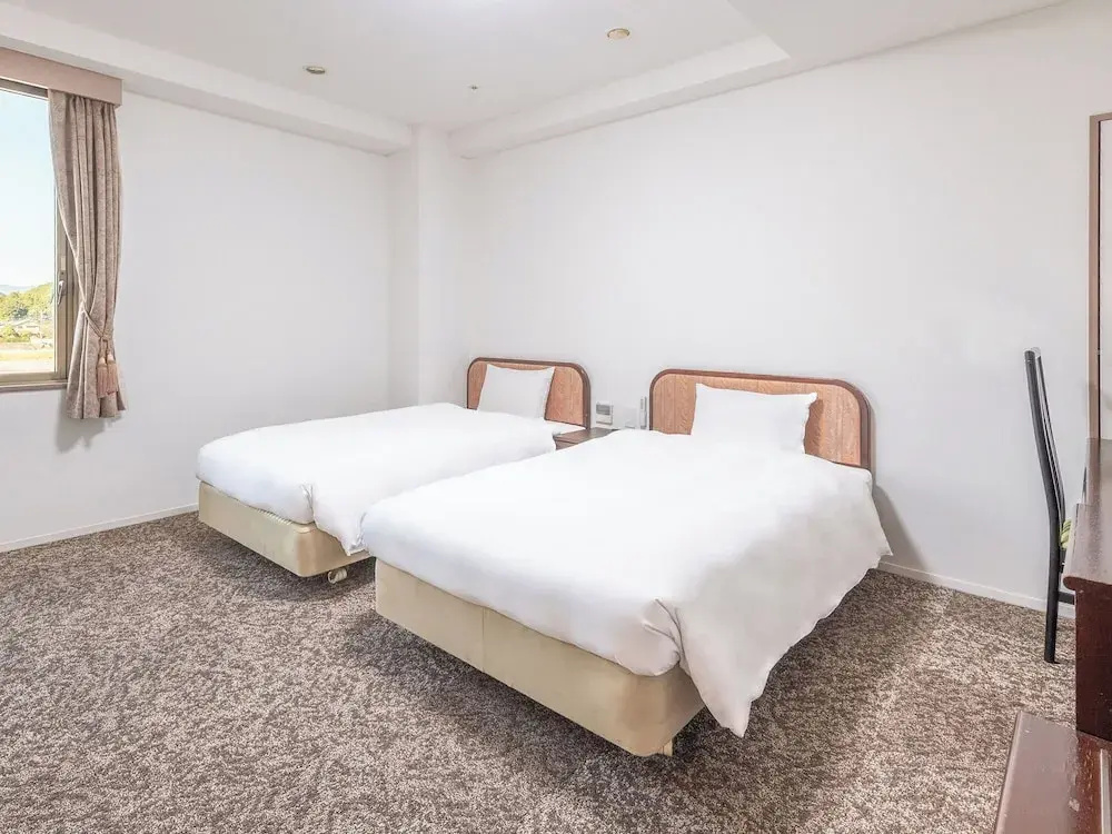 Superior Double room (twin beds)