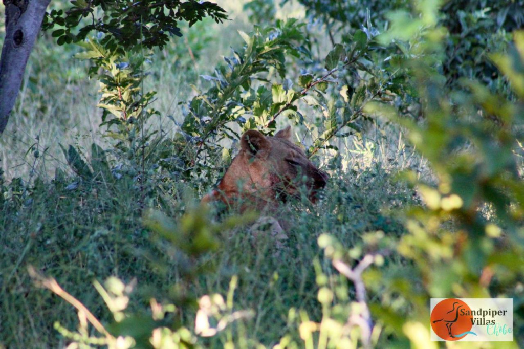Hotel photo 33