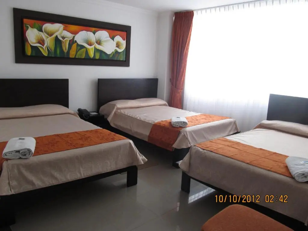 Hotel Andinos Plaza - Chambres