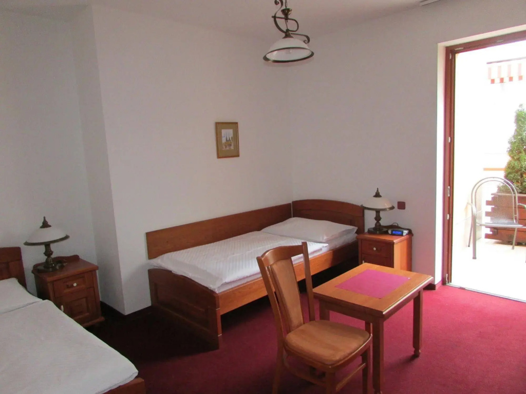 Hotel Pegas Brno - Général