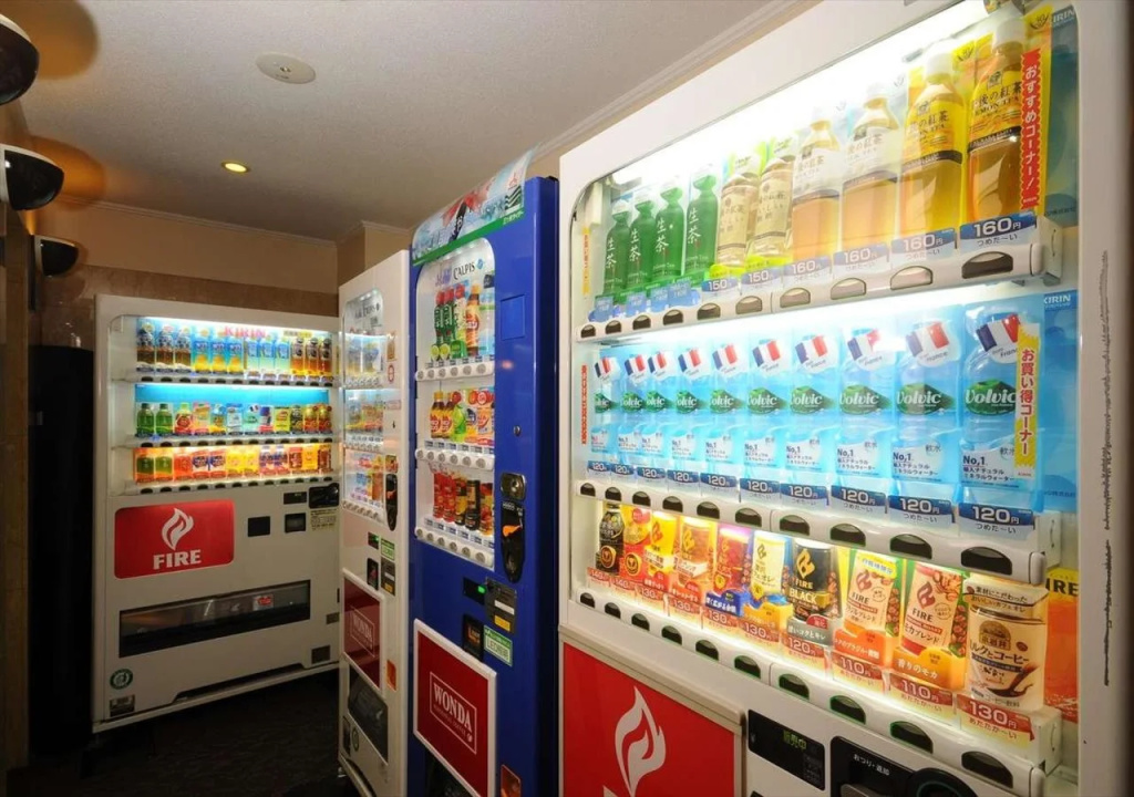 Grand Park Hotel Excel Kisarazu - Général