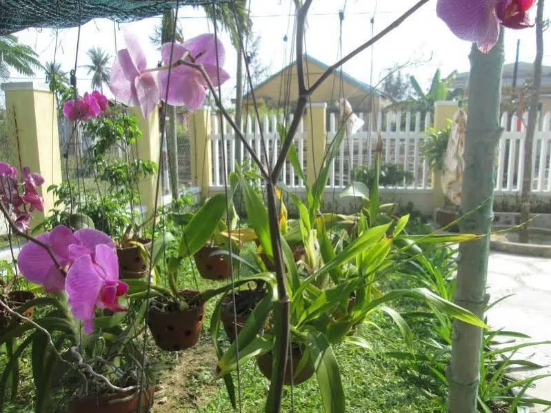 image url