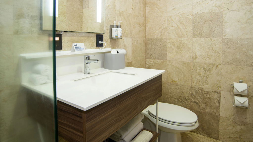 Holiday Inn Express Mexico Santa Fe by IHG - Général