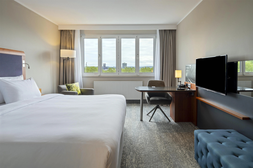 Superior room with park view