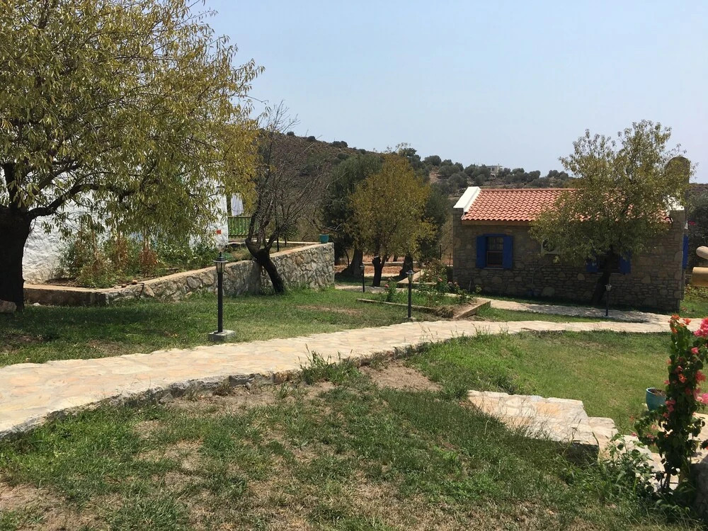 Image 7