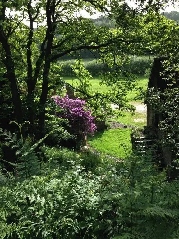 Voir la photo 4 — The Old Farmhouse