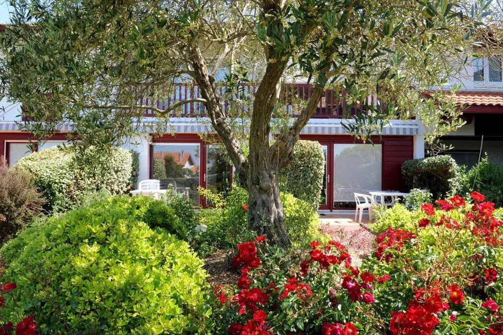 Apartment with garden view