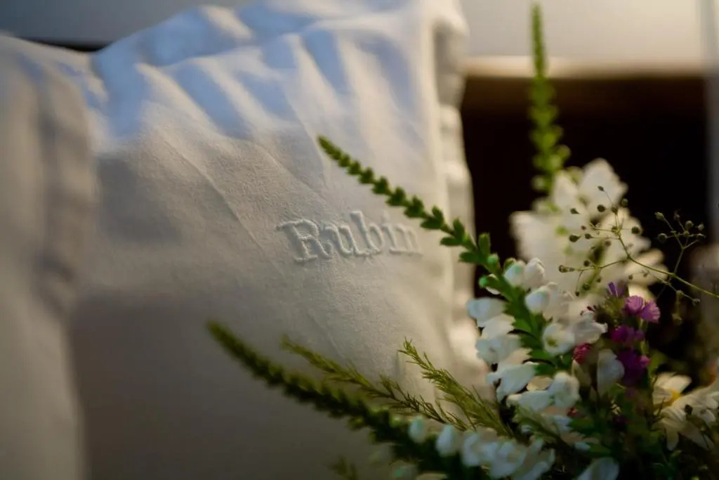 Pensiunea Rubin - Chambres