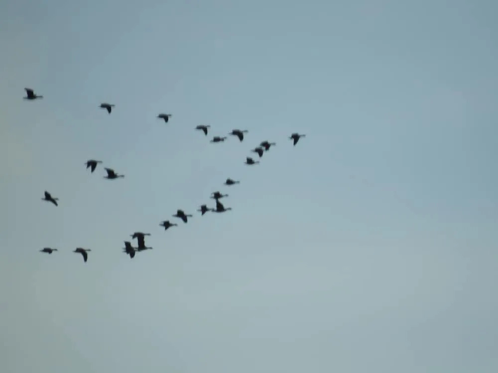 Alaska Adventure Cabins — фото 2