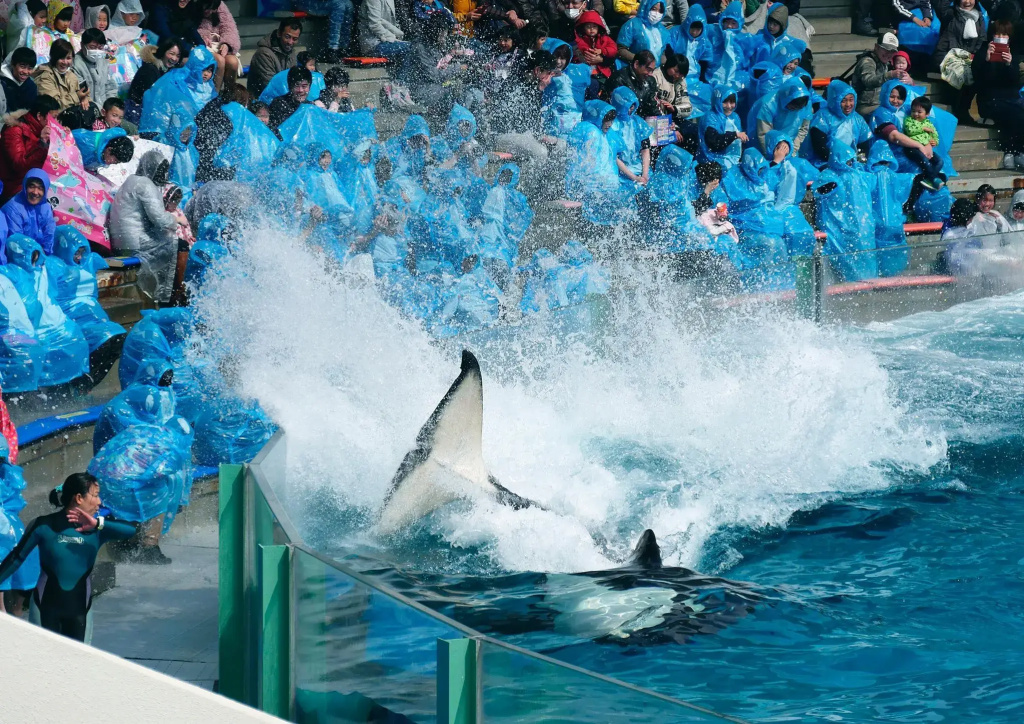 Kamogawa Sea World Hotel - Chambres