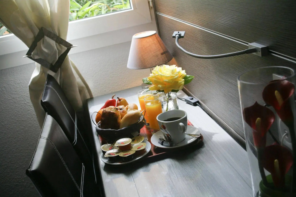 Hotel & Spa GIL DE FRANCE Cap D'Agde - Général