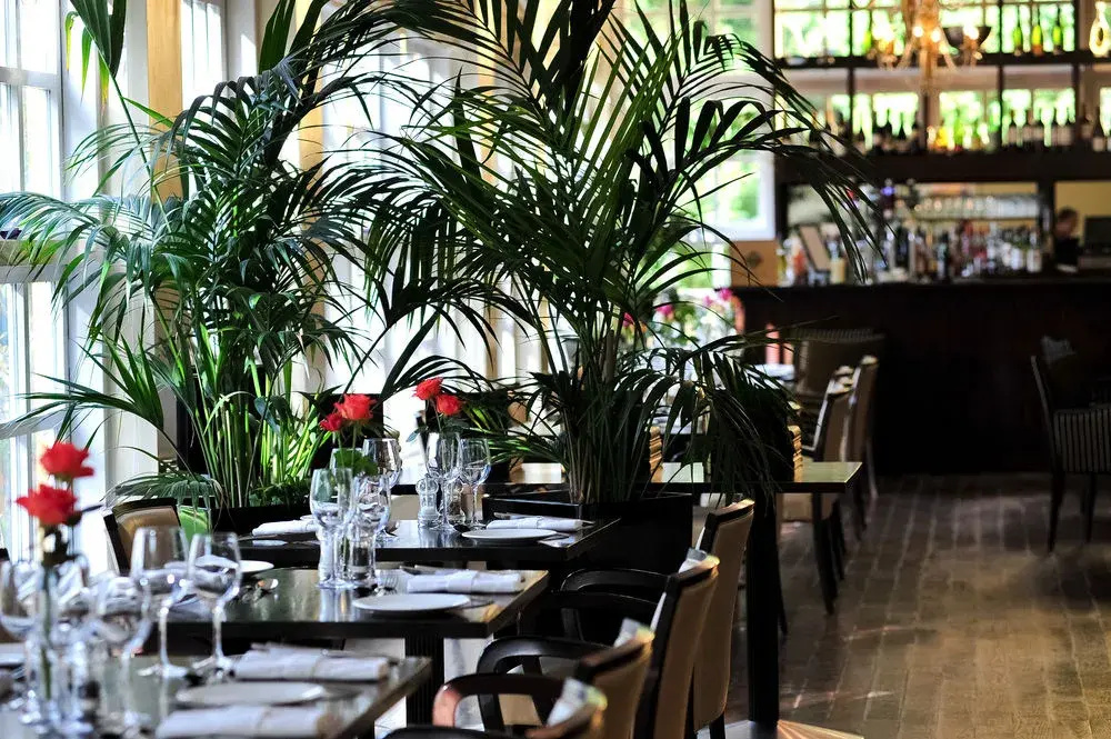 Athenaeum House Hotel - Général