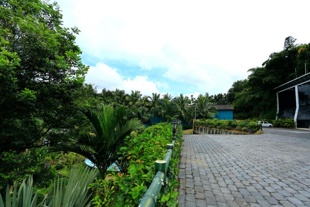 Image 12