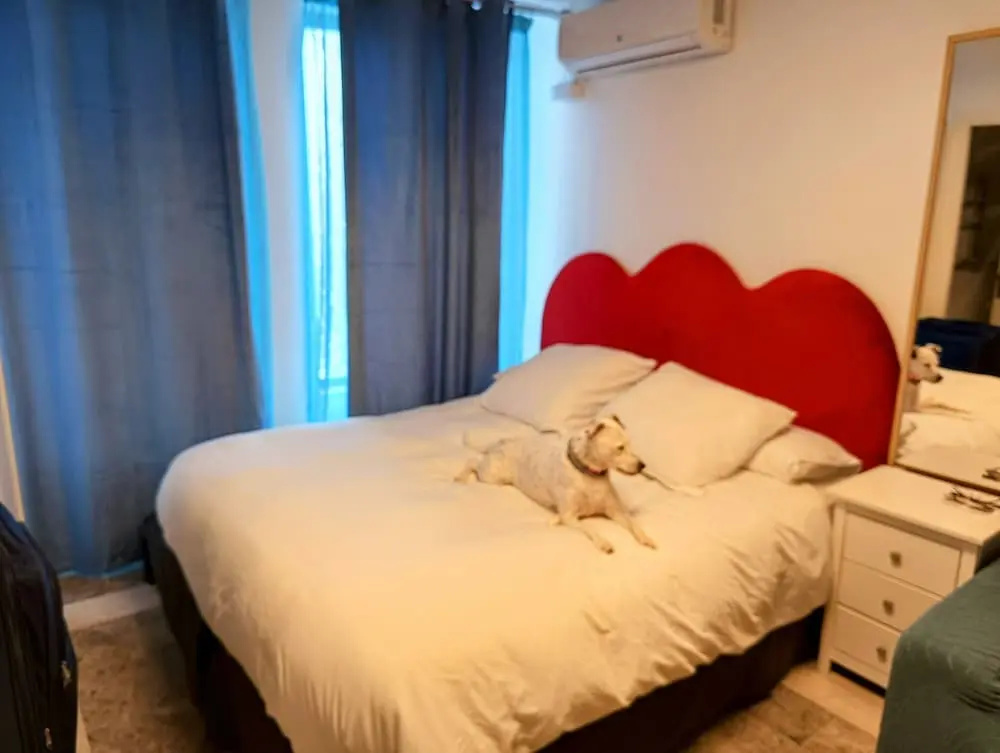 Hostal estudios — 2