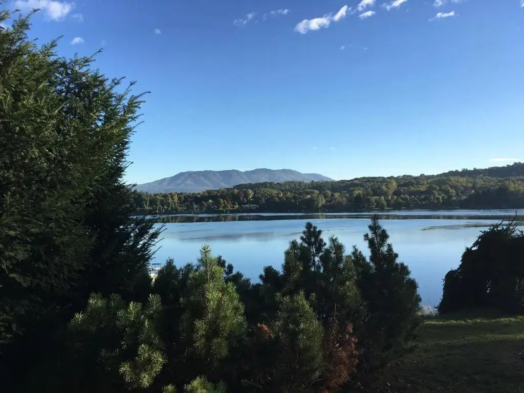 1 Bedroom Apartment with lake view