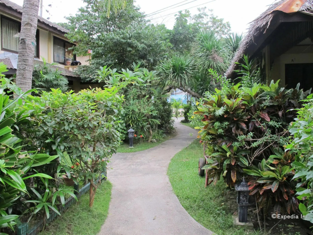 Blue Ribbon Dive Resort - Général