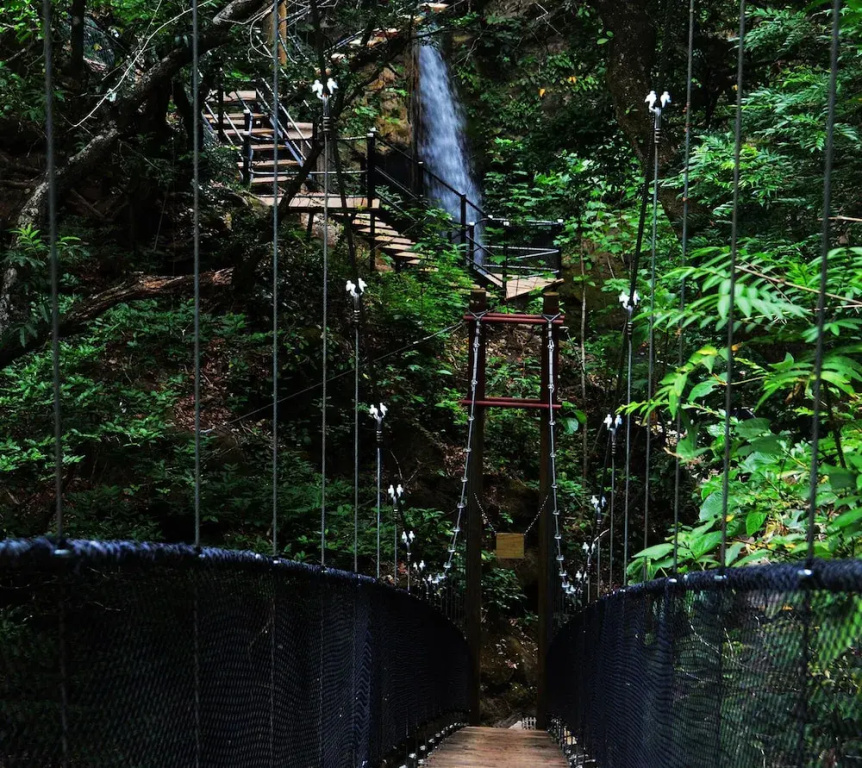 Hotel Tama Lodge