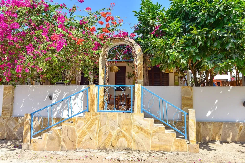 Barabara House