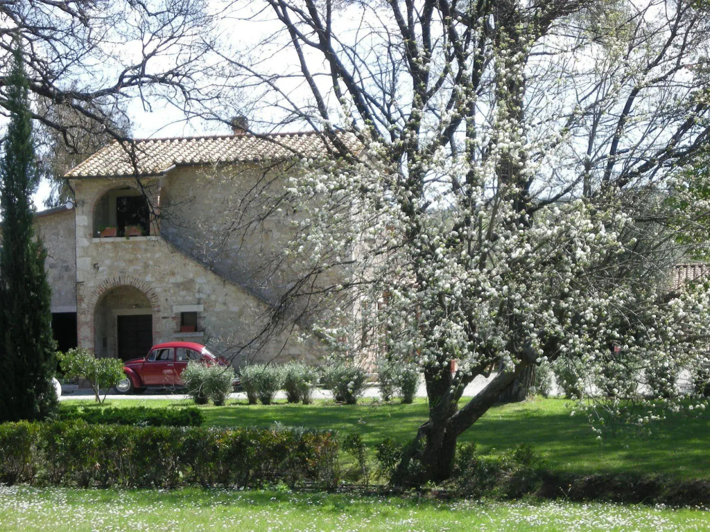 Villa Acquaviva Wine Resort - Général
