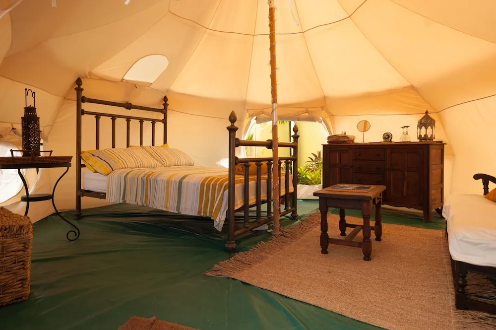 Wild Lotus Glamping — фото 2