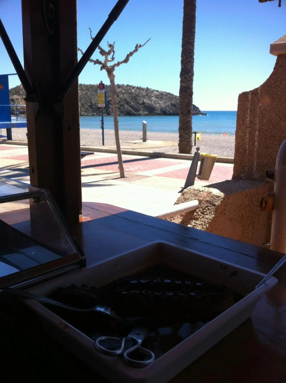 Hotel Playa Grande - Général