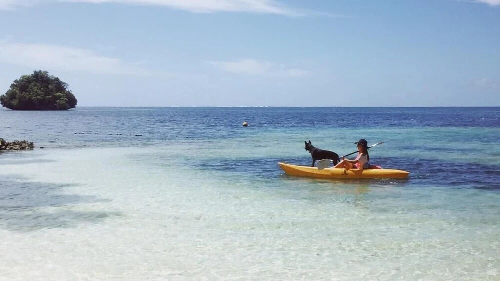 Ngellil Nature Island Resort - фото 14