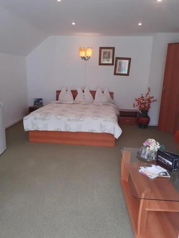 Vila Floare de Colt - Chambres
