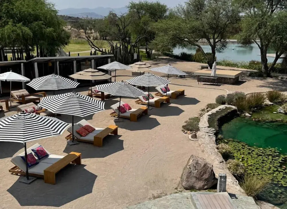 Campera Hotel Burbuja by null