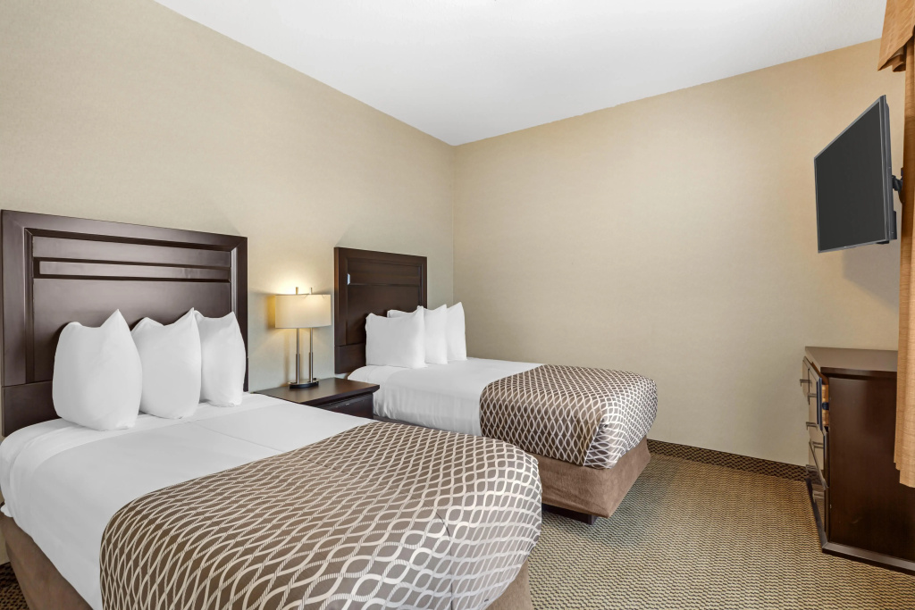 1 Bedroom Suite