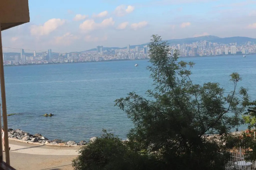 Beach & Waterfront