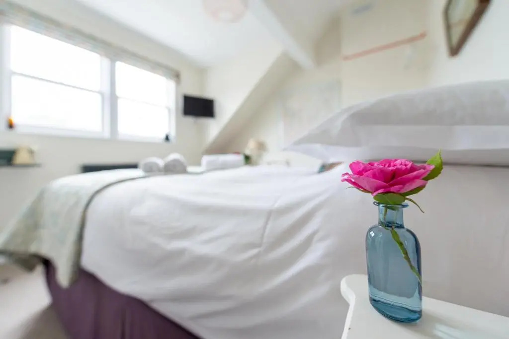 Standard Double room with mountain view (full double bed)