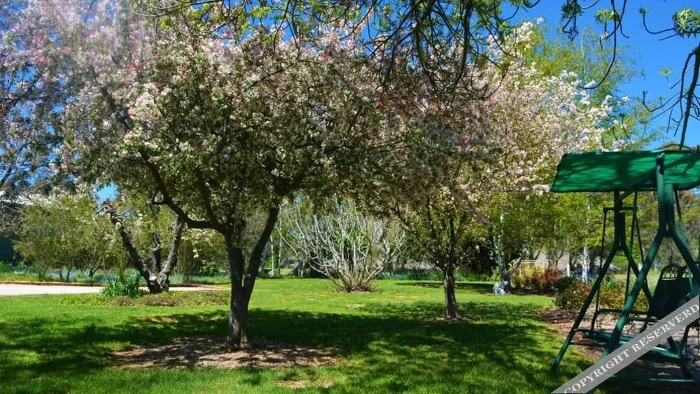 Greentrees Guest House