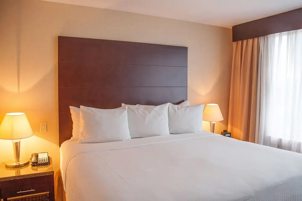 Business Suite